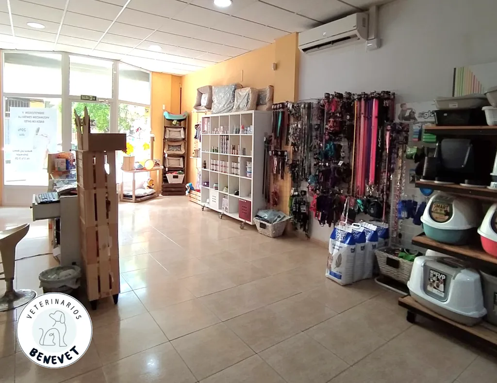 Imagen de Principal