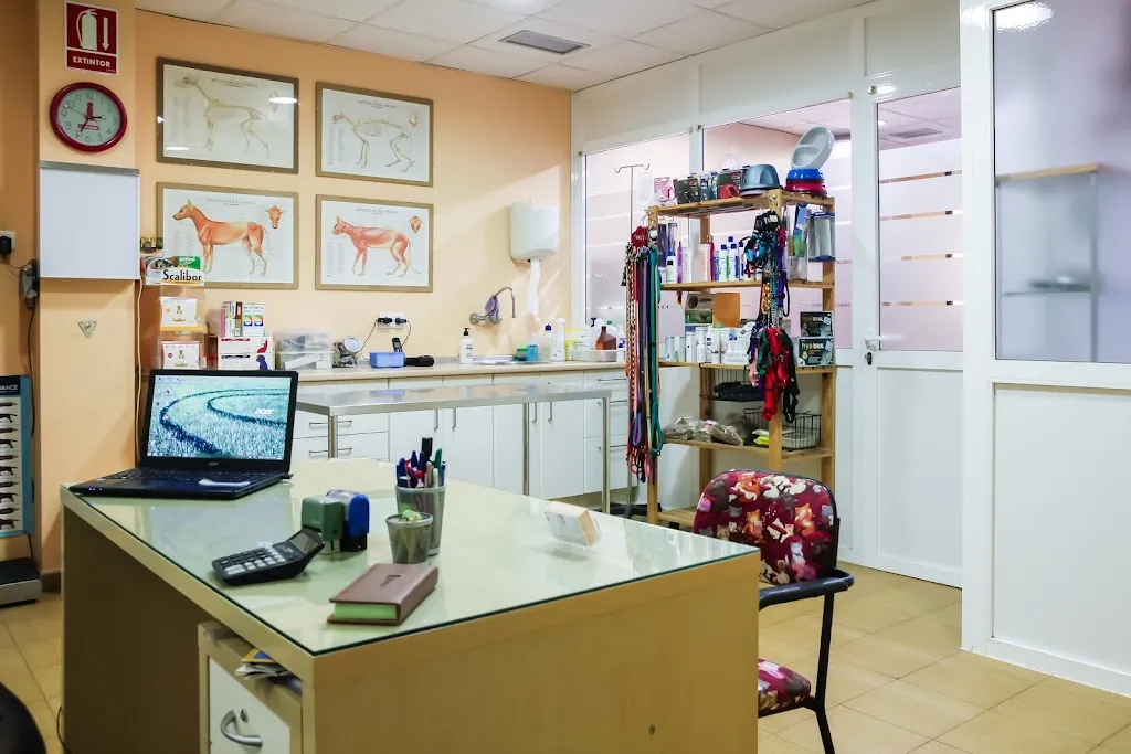 Imagen de Principal