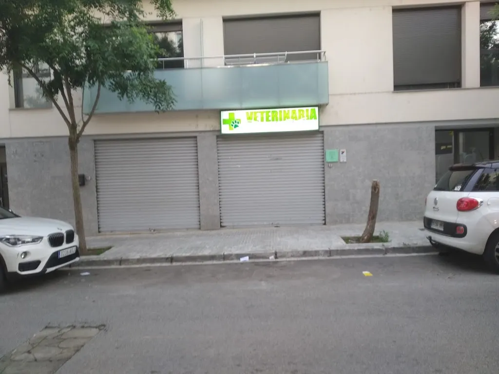 Imagen de Principal