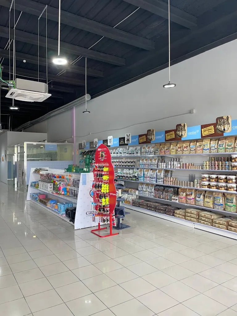 Imagen de Principal