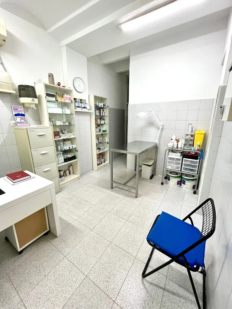 Imagen de Principal
