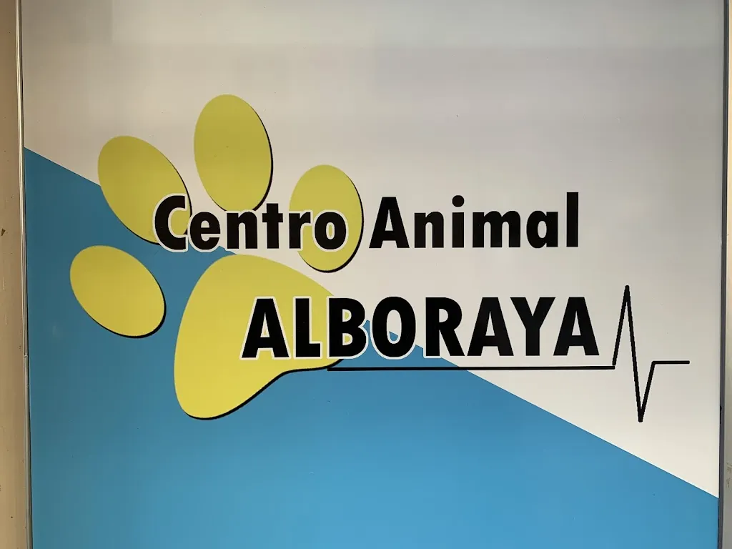 Imagen de Principal