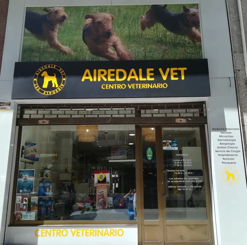 Imagen de Principal