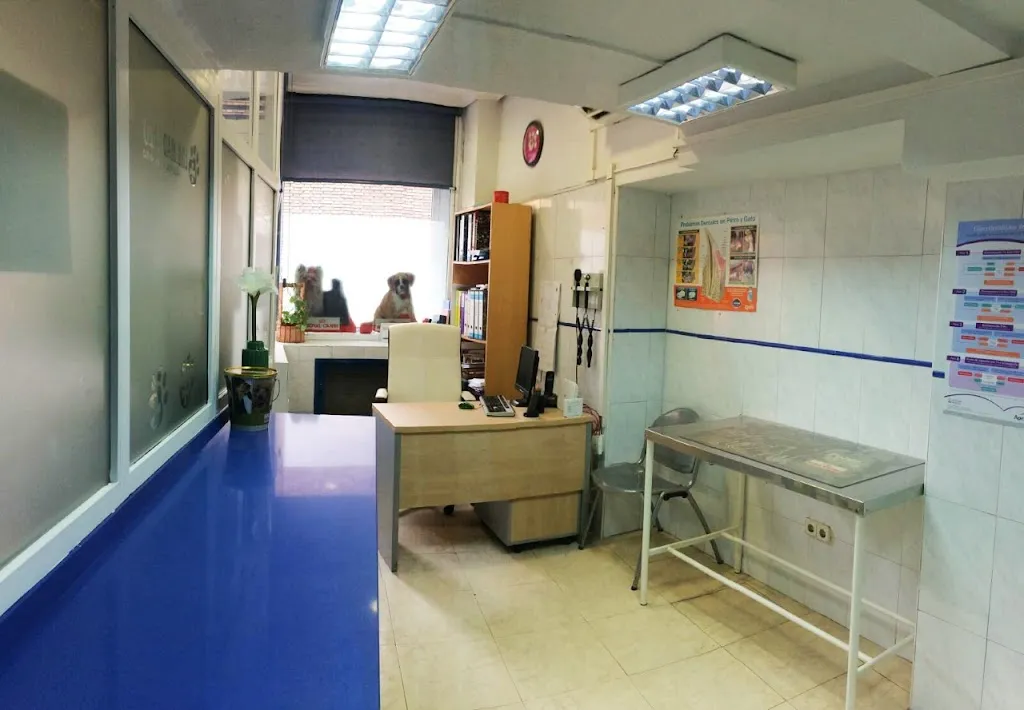 Imagen de Principal