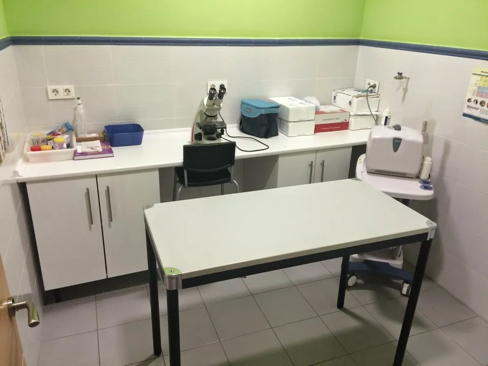 Imagen de Principal