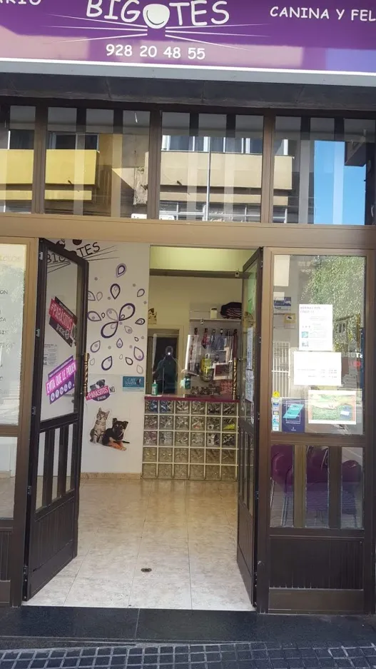 Imagen de Principal