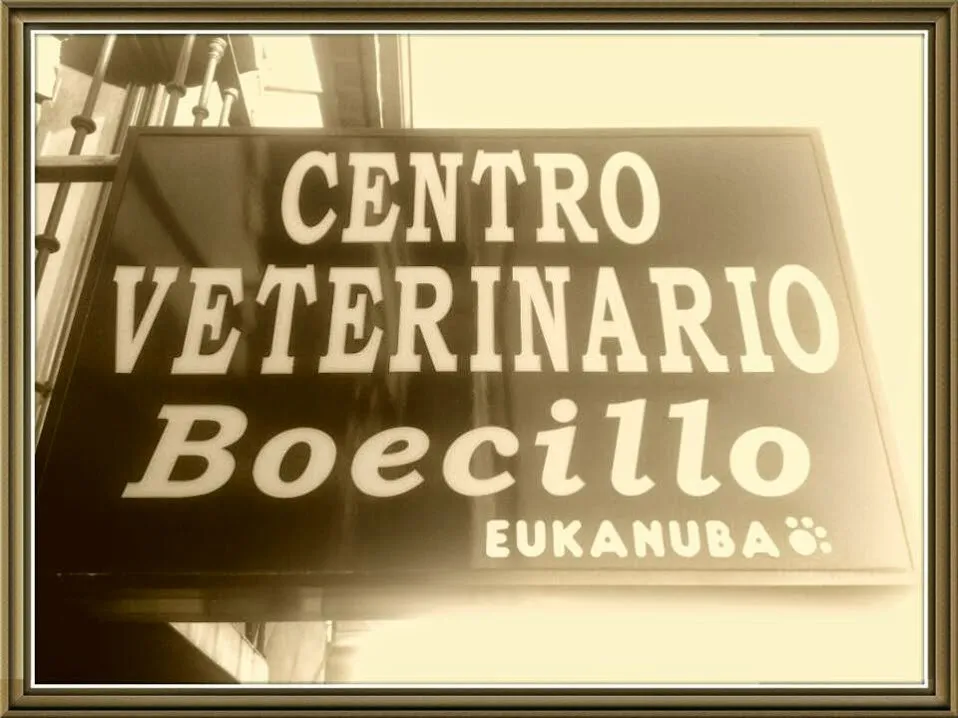 Imagen de Principal