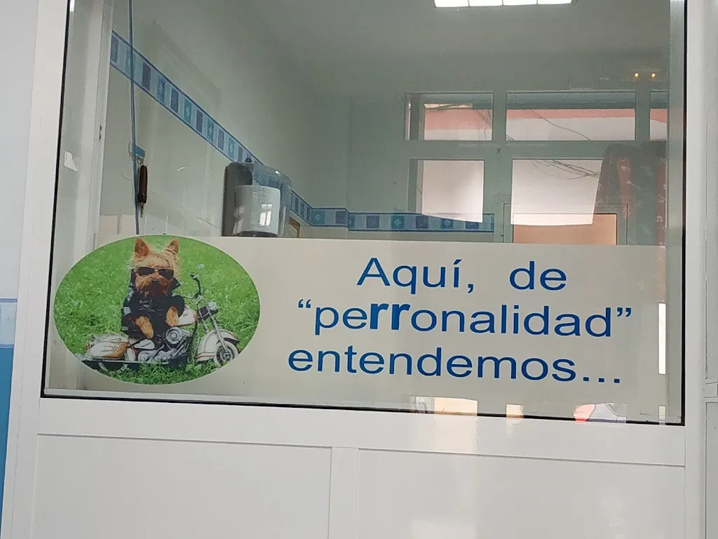 Imagen de Principal