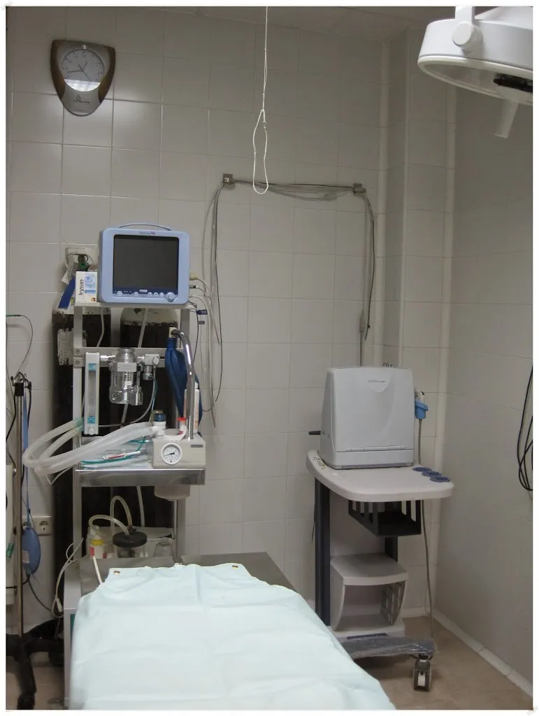 Imagen de Principal