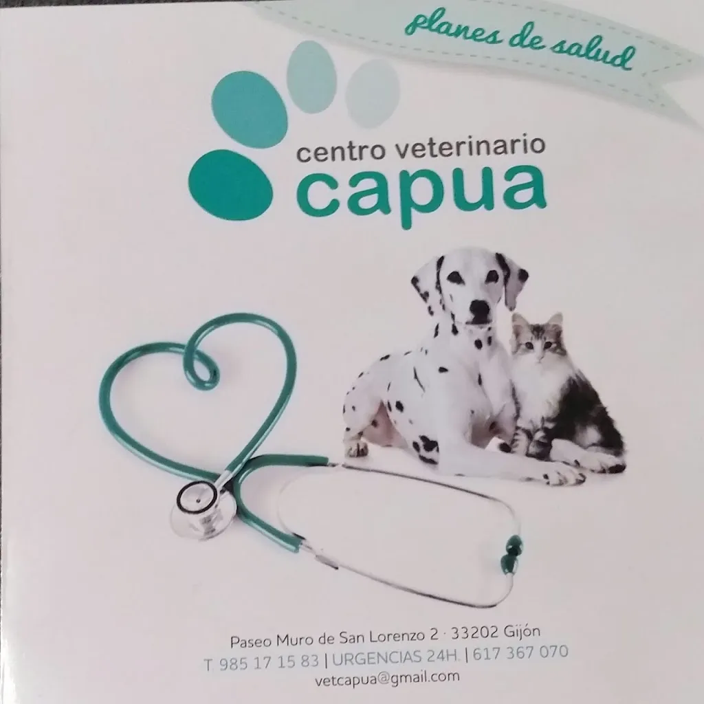 Imagen de Principal