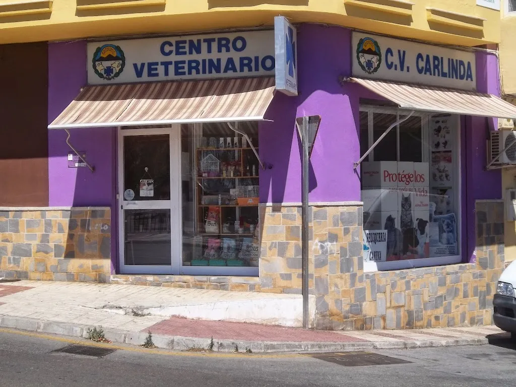 Imagen de Principal