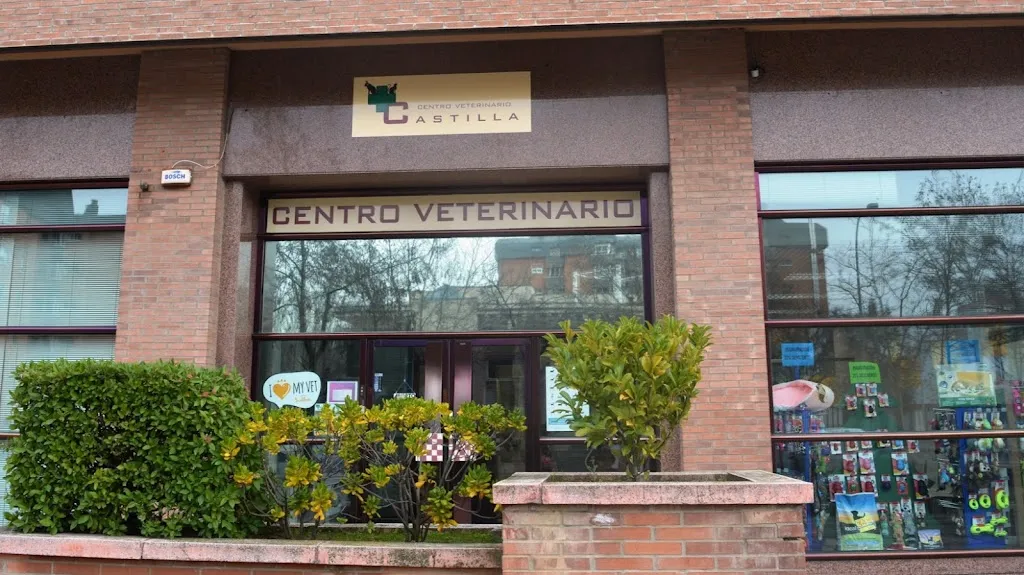Imagen de Principal