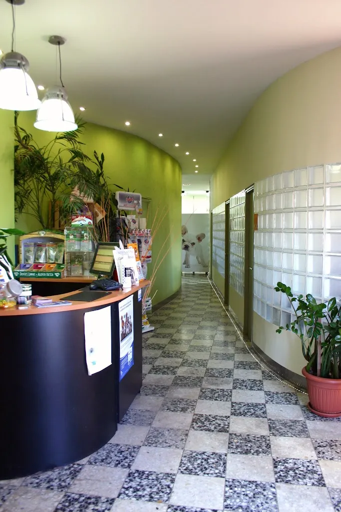 Imagen de Principal