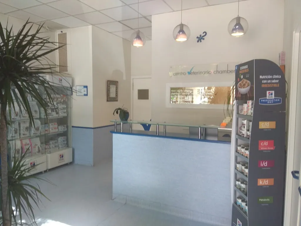 Imagen de Principal