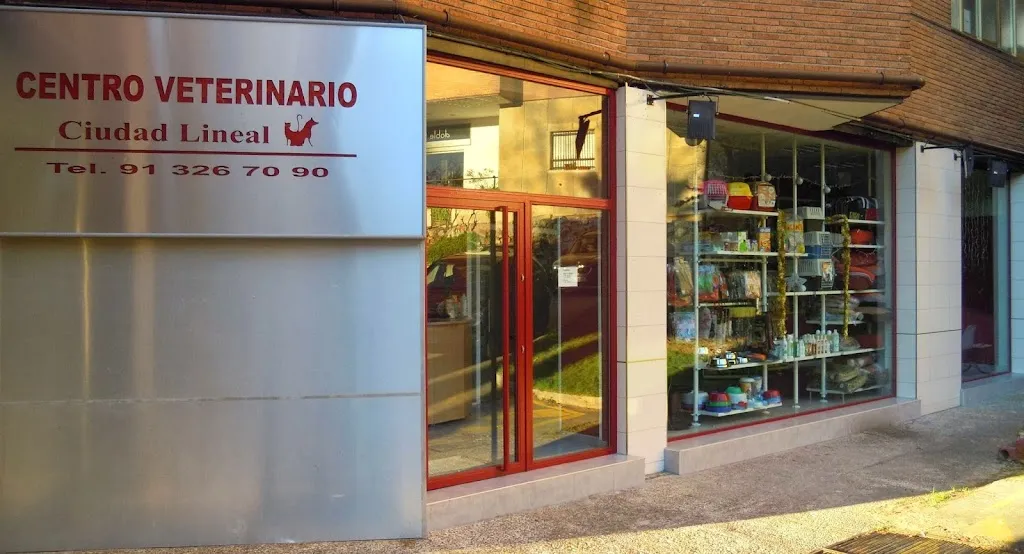 Imagen de Principal