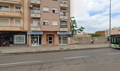 Imagen de Principal