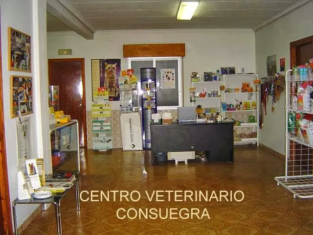 Imagen de Principal