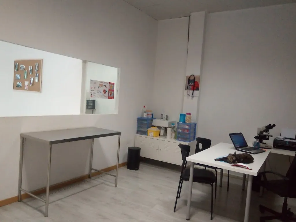 Imagen de Principal