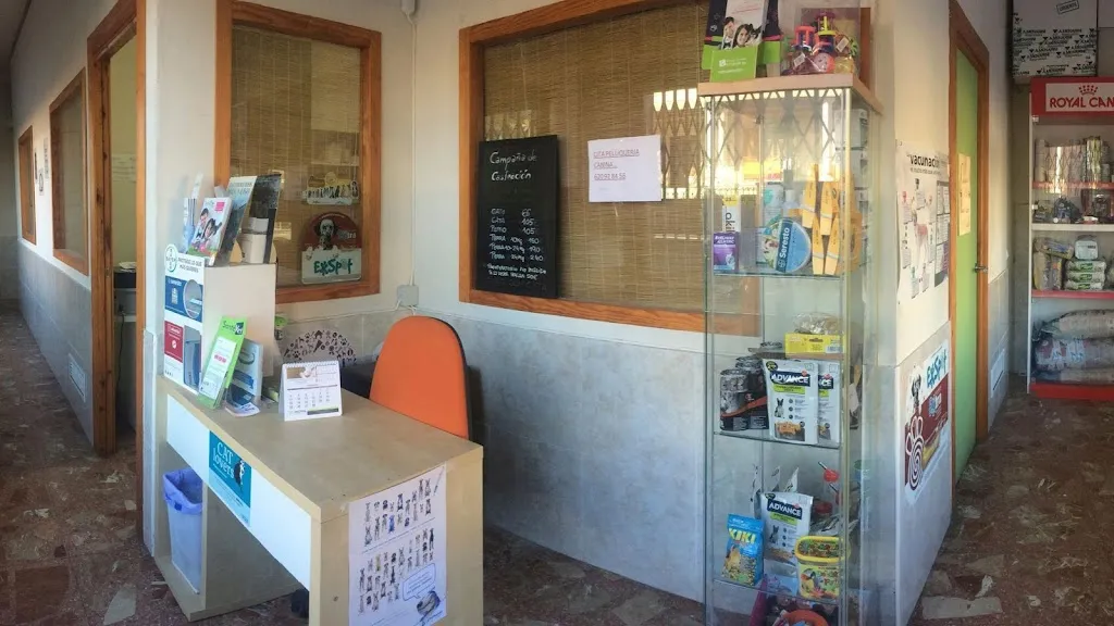 Imagen de Principal