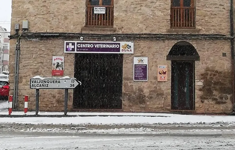 Imagen de Principal