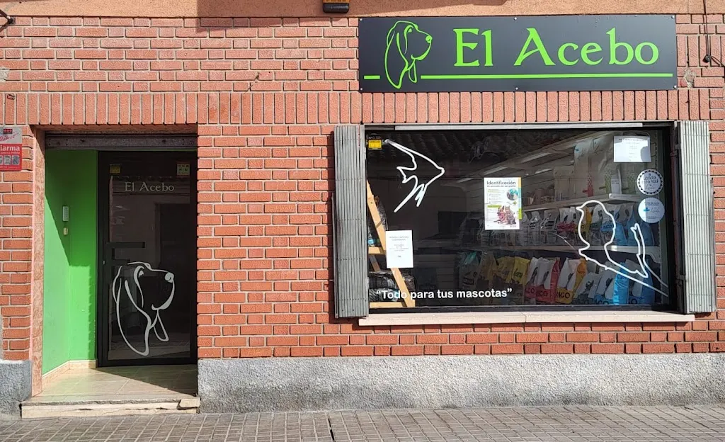Imagen de Principal