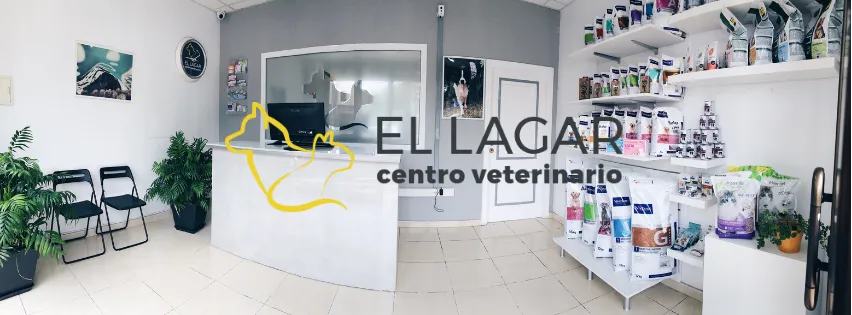 Imagen de Principal