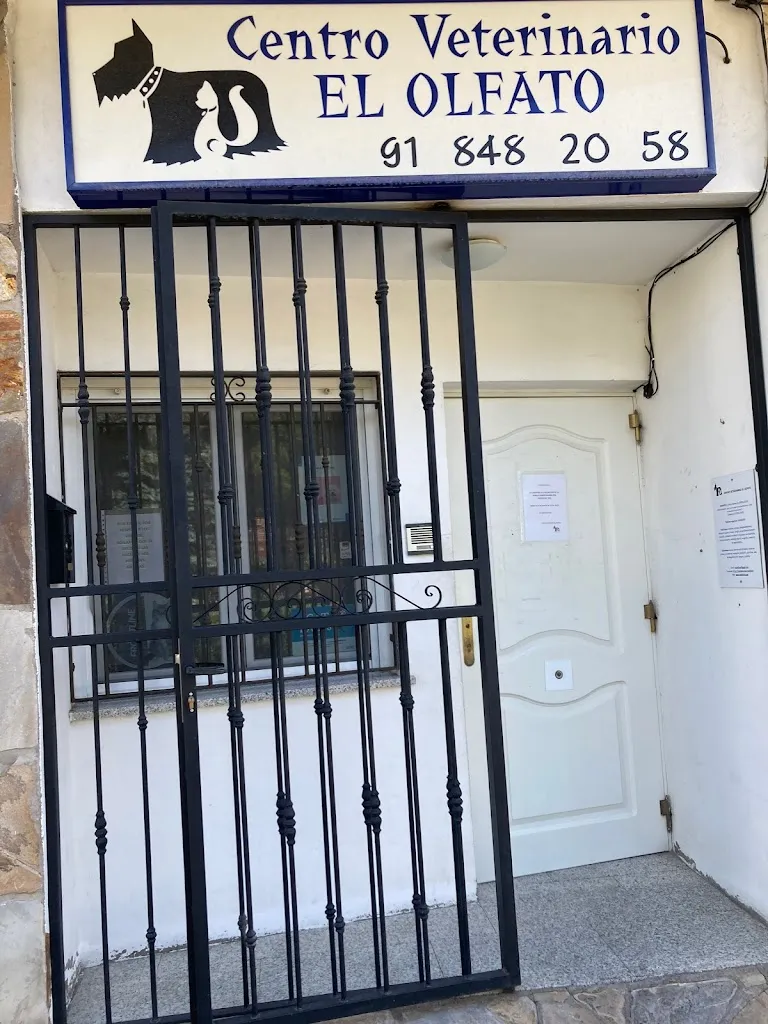 Imagen de Principal