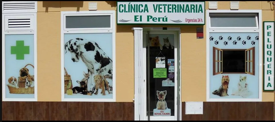 Imagen de Principal