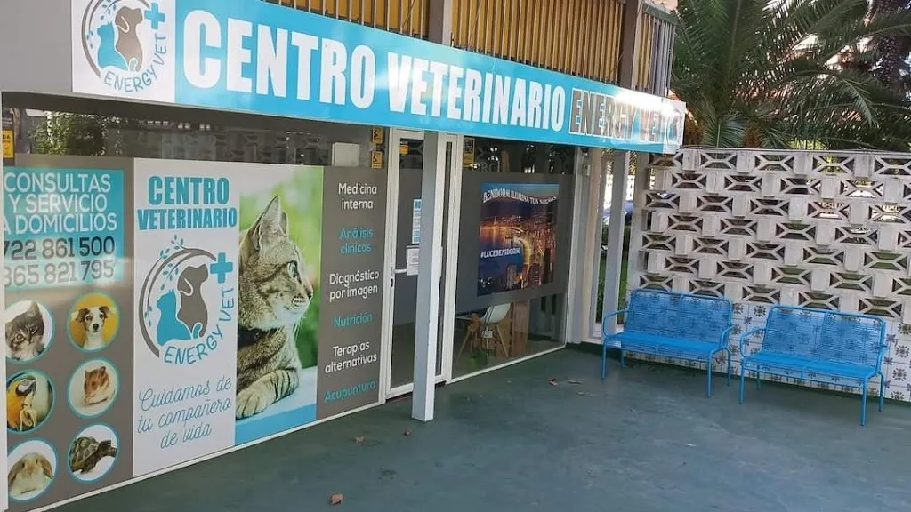 Imagen de Principal