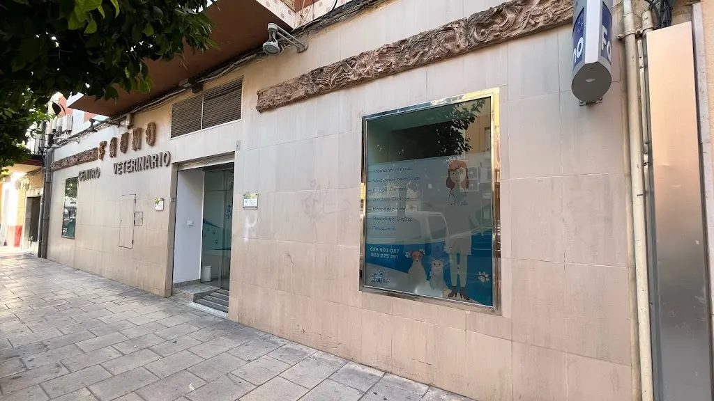 Imagen de Principal