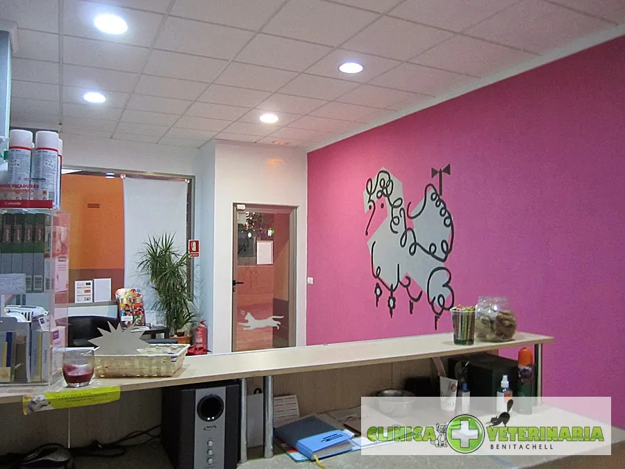 Imagen de Principal