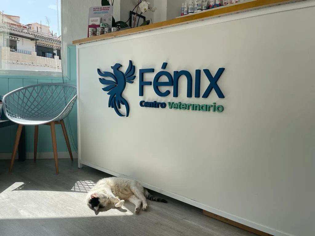 Imagen de Principal
