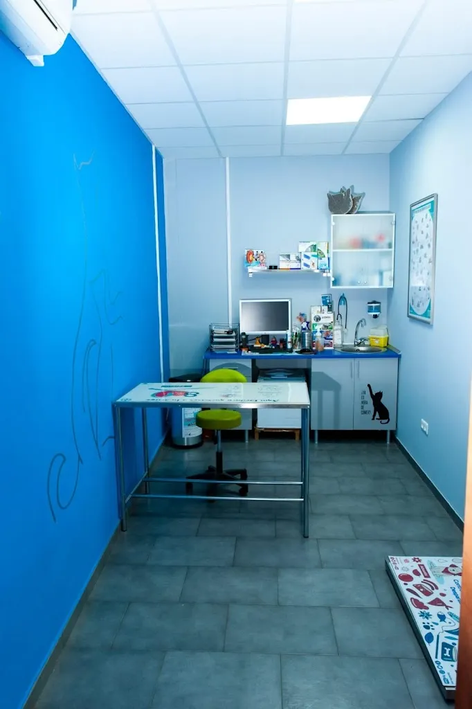 Imagen de Principal
