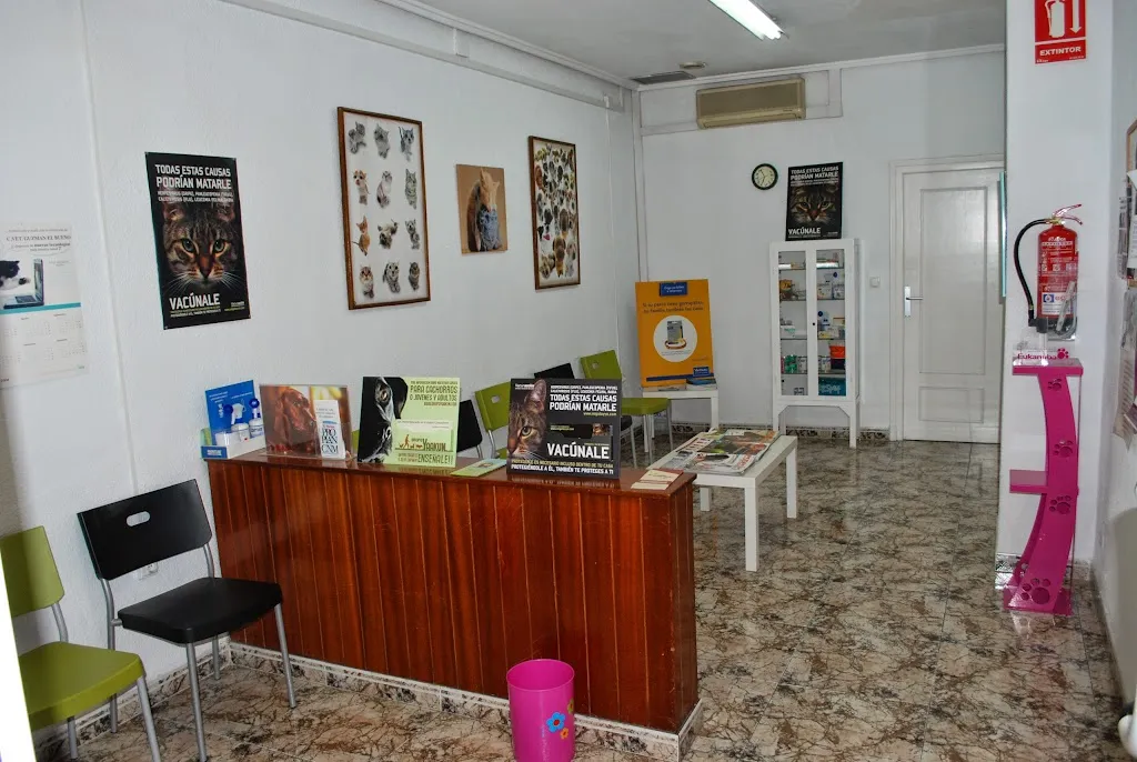 Imagen de Principal