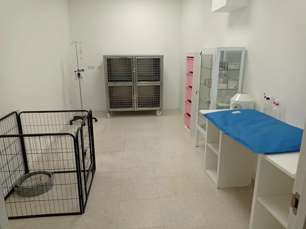 Imagen de Principal