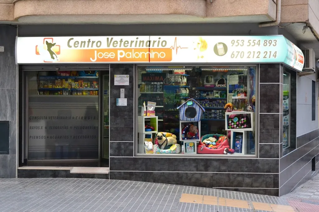 Imagen de Principal