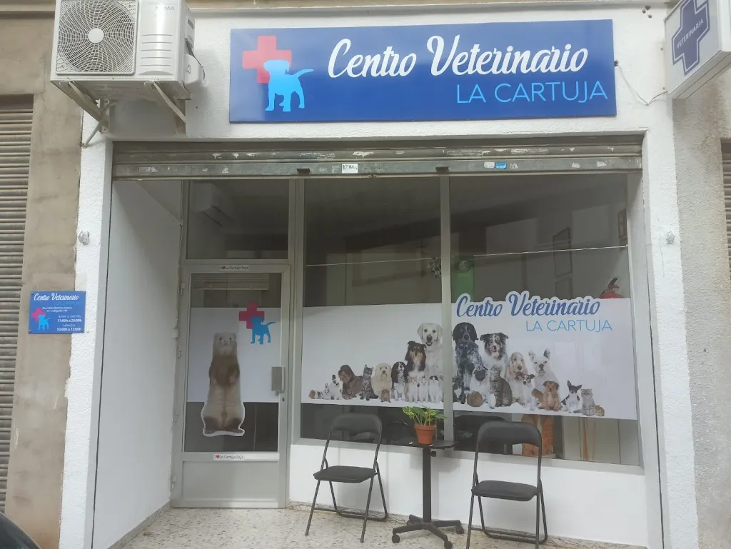 Imagen de Principal