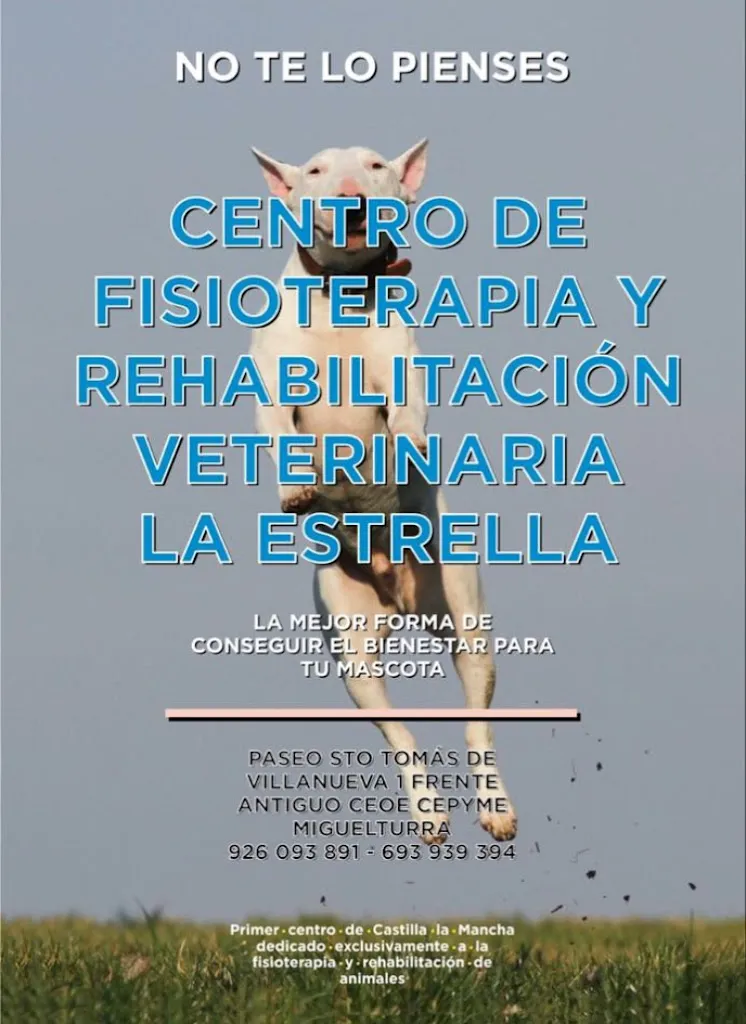 Imagen de Principal