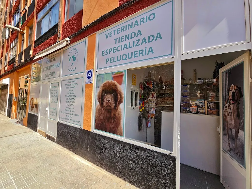 Imagen de Principal