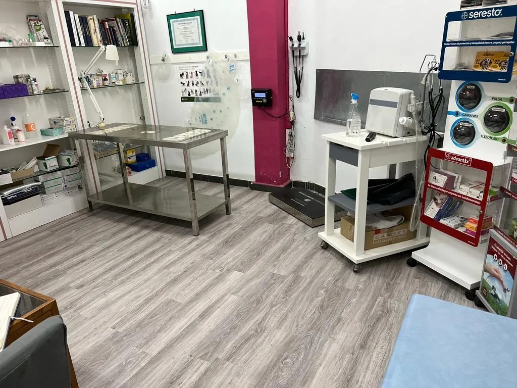 Imagen de Principal
