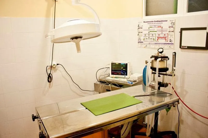 Imagen de Principal