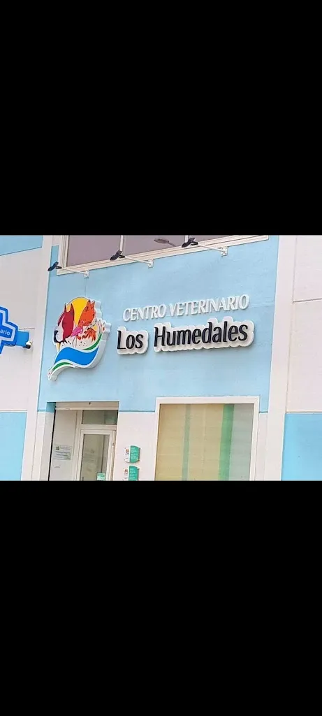Imagen de Principal