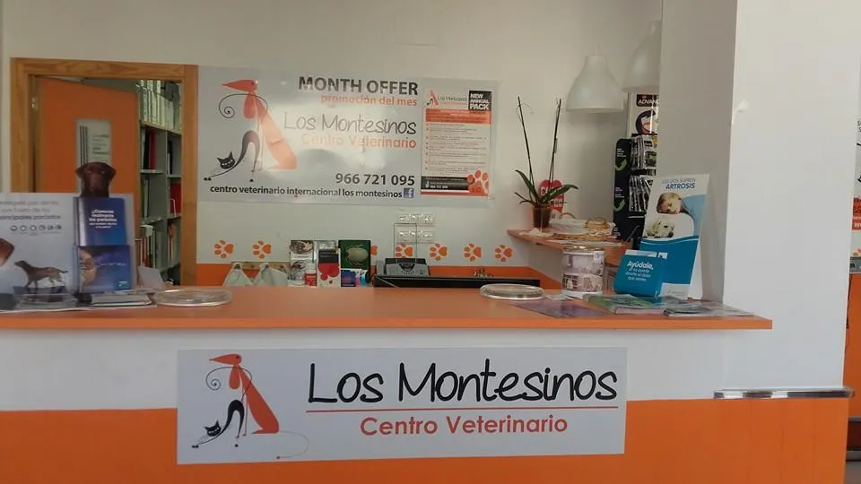 Imagen de Principal