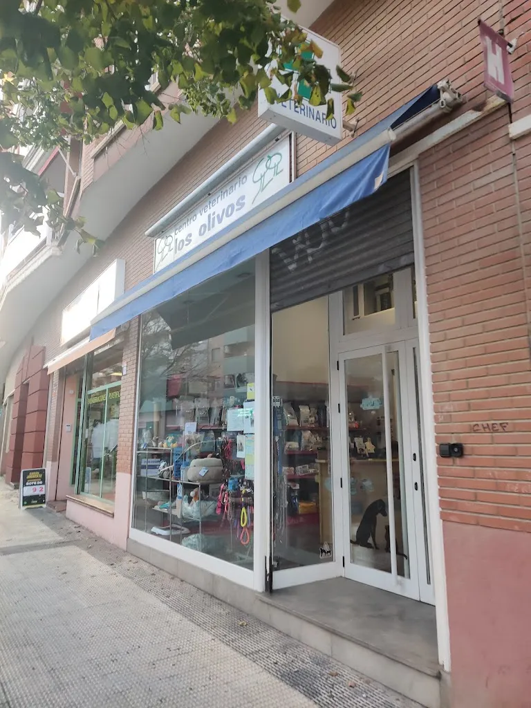 Imagen de Principal