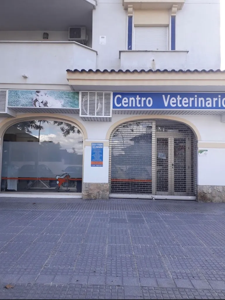 Imagen de Principal