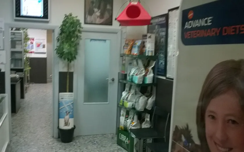 Imagen de Principal