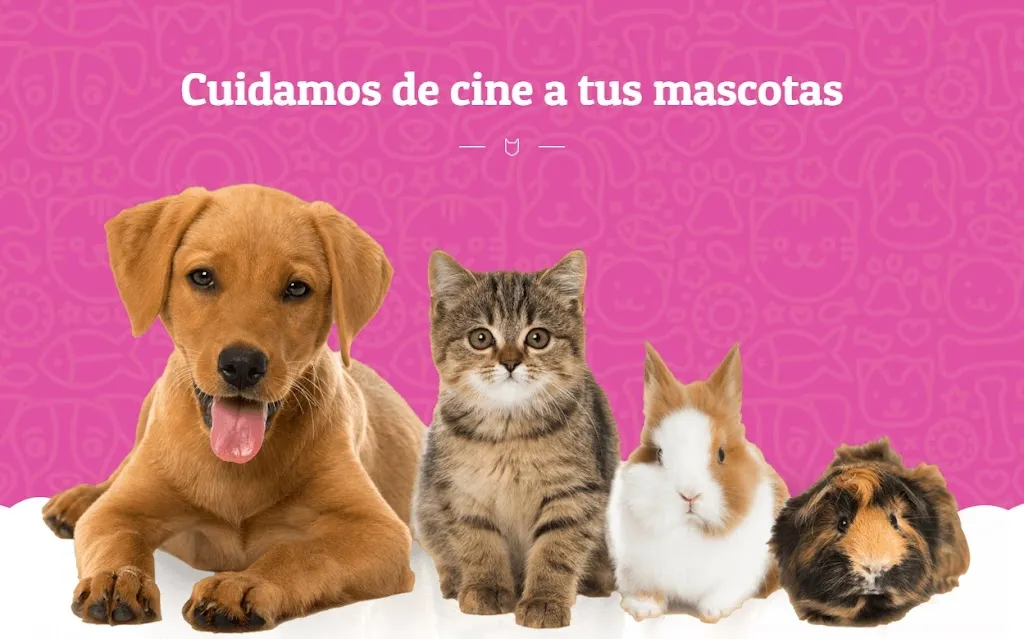 Imagen de Principal