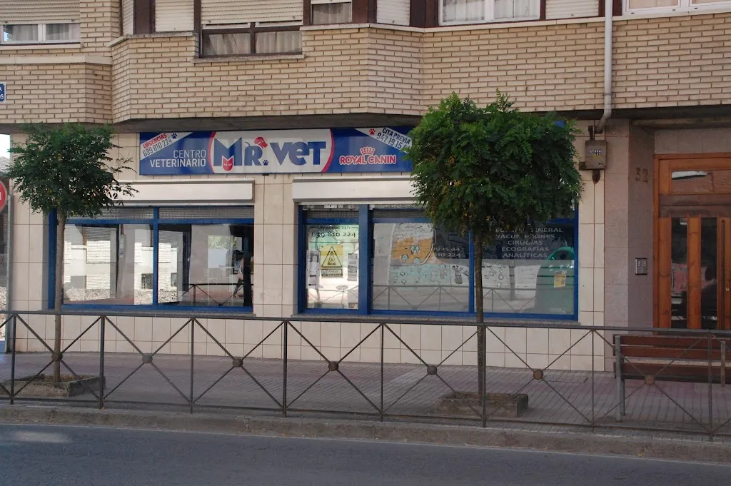 Imagen de Principal