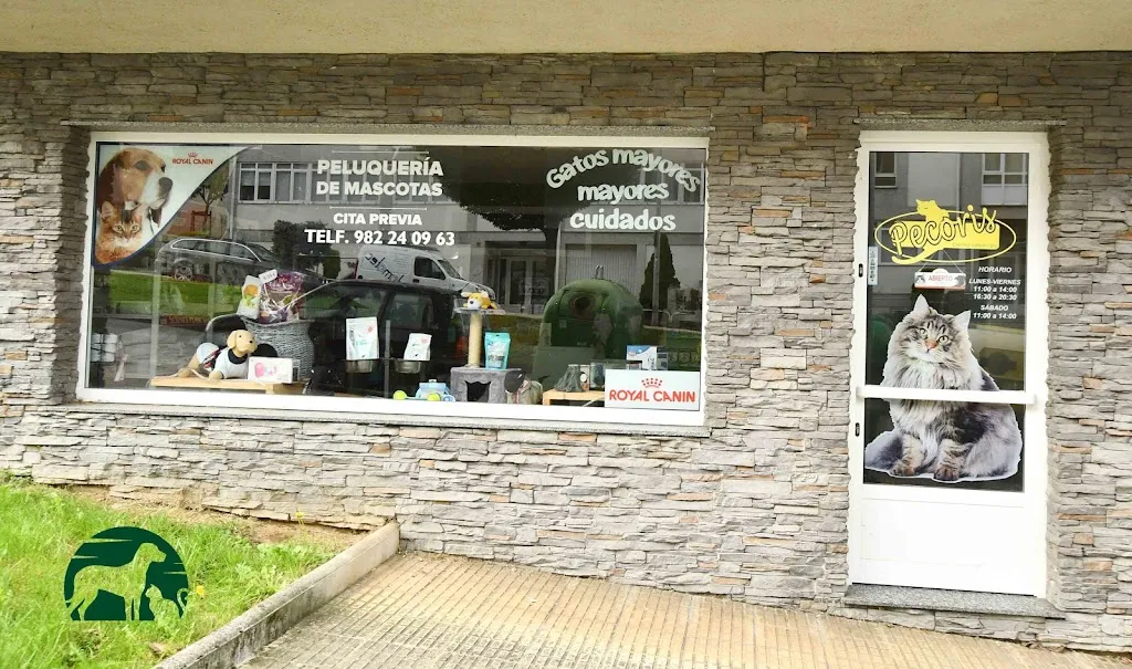 Imagen de Principal