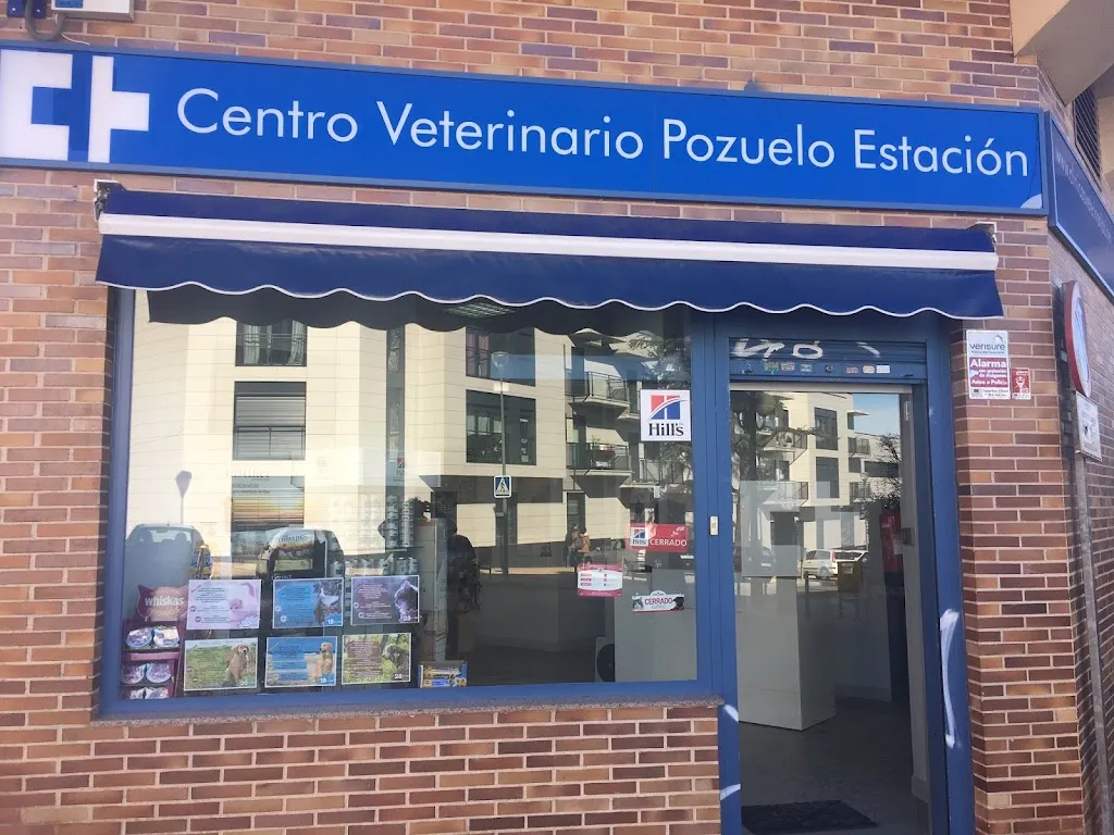 Imagen de Principal